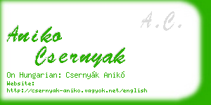 aniko csernyak business card