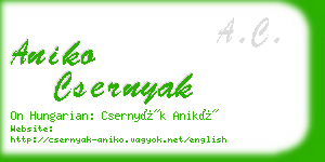 aniko csernyak business card